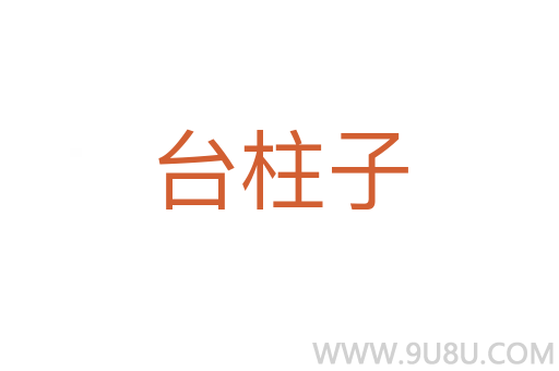 臺柱子