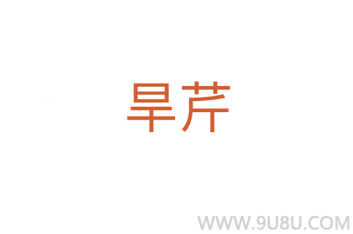旱芹
