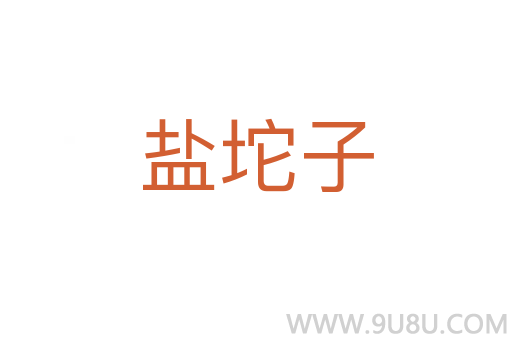 鹽坨子