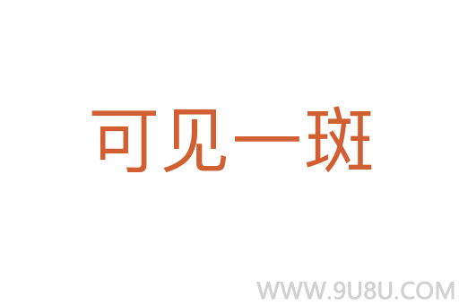 可見一斑