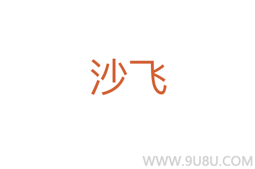 沙飛