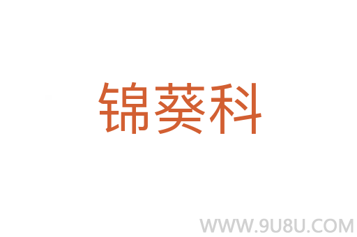 錦葵科