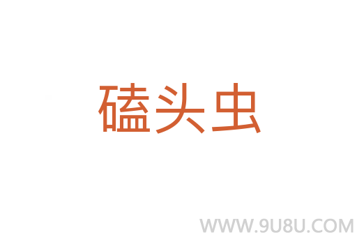 磕頭蟲