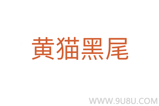 黃貓黑尾