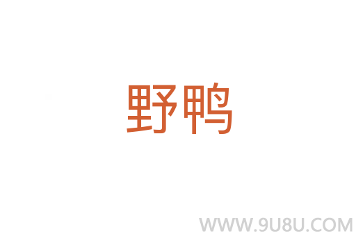 野鴨