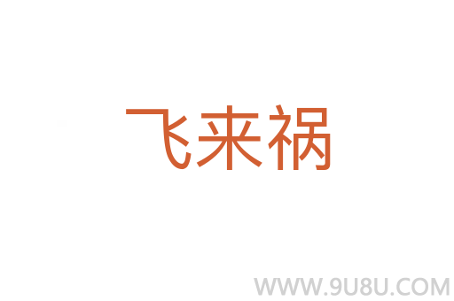 飛來禍