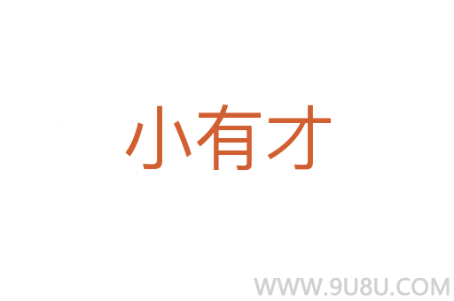 小有才