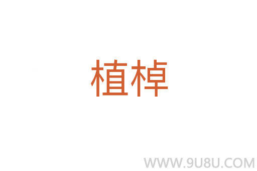植棹