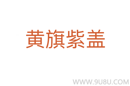 黃旗紫蓋
