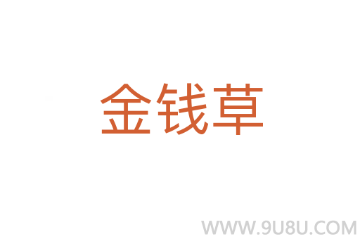 金錢草