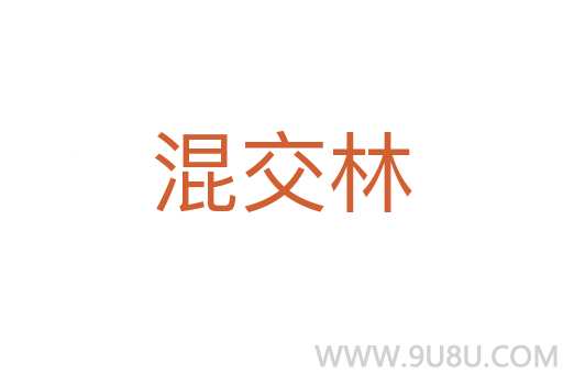 混交林