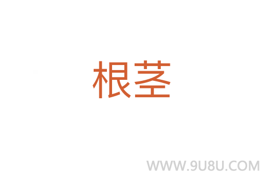 根莖