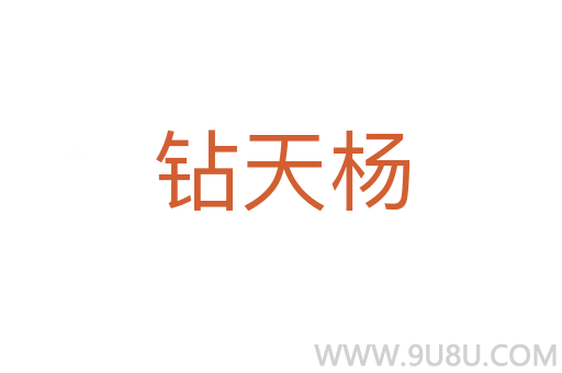 鉆天楊