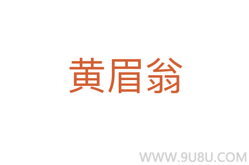 黃眉翁