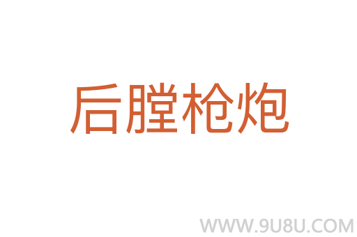 后膛槍炮