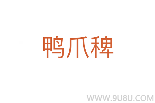 鴨爪稗