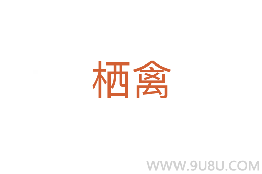 棲禽