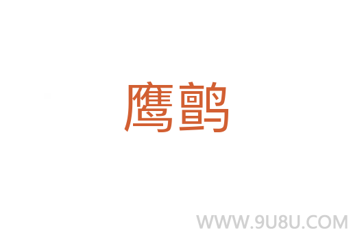 鷹鹯