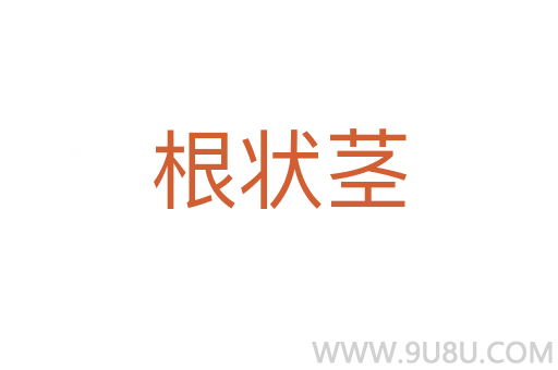 根狀莖
