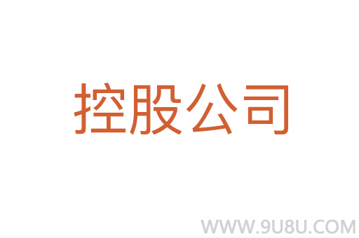 控股公司