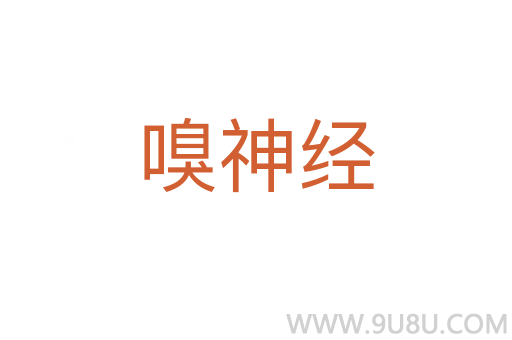 嗅神經