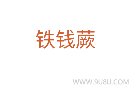 鐵錢蕨