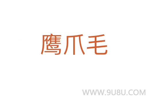鷹爪毛