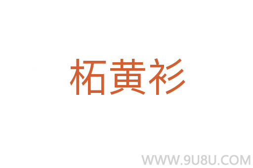 柘黃衫