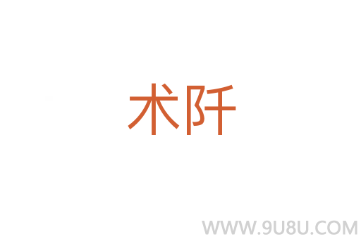 術(shù)阡