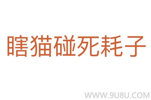 瞎貓碰死耗子