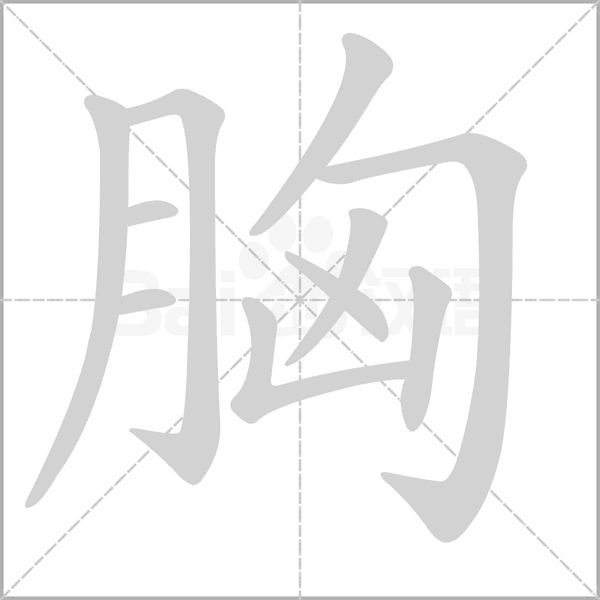胸的筆順動(dòng)畫演示