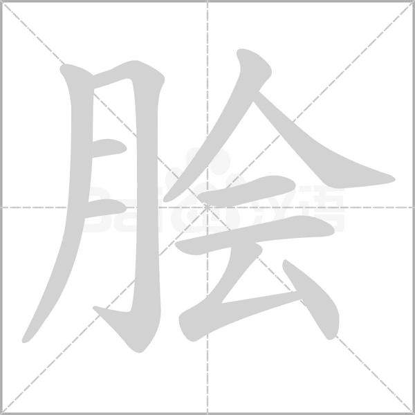 膾的筆順動(dòng)畫(huà)演示