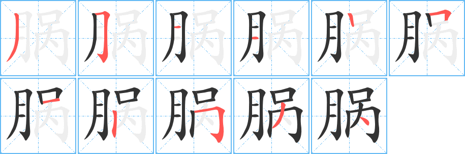 腡的筆順分步演示