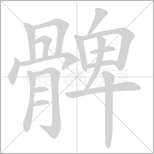 髀的筆順動(dòng)畫(huà)演示