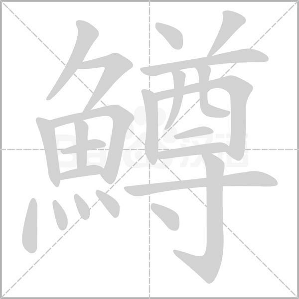 鱒的筆順動(dòng)畫演示
