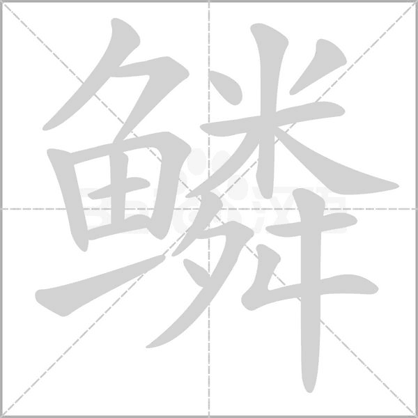 鱗的筆順動(dòng)畫演示