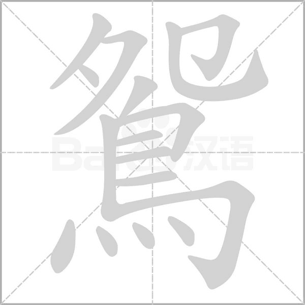 鴛的筆順動(dòng)畫演示