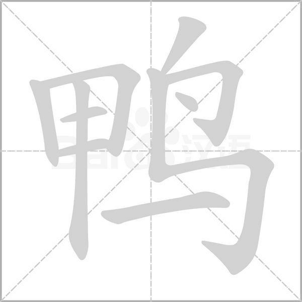 鴨的筆順動(dòng)畫(huà)演示