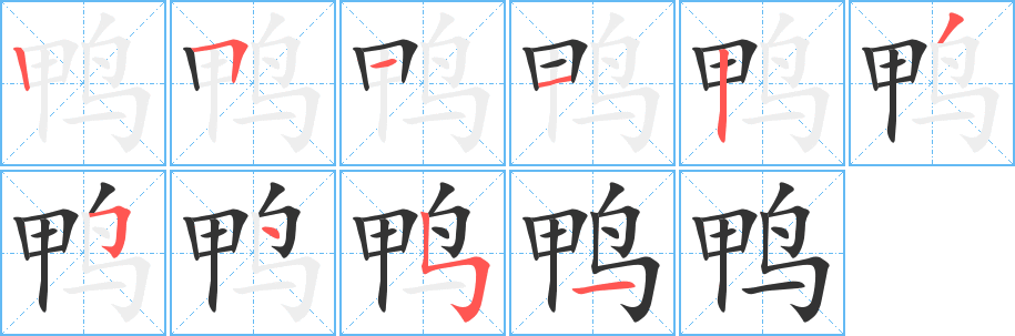鴨的筆順?lè)植窖菔?>
					
                    <hr />
                    <h2>鴨的基本信息</h2>
                    <div   id=
